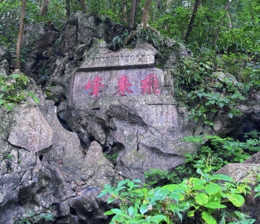 灵隐飞来峰景区将免票开放<strong></p>
<p>大洋电机股票</strong>，官方回应：“让飞来峰飞入寻常百姓家”