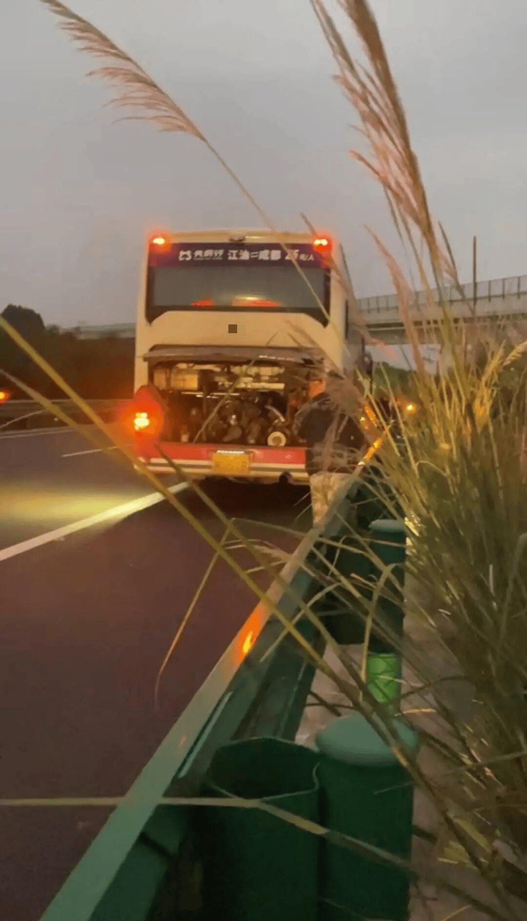 48名乘客被困高速2.5小时<strong></p>
<p>上港集团股票</strong>！运营公司致歉