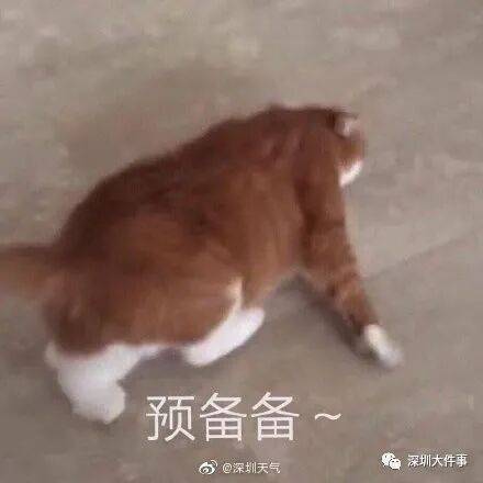 广东全省入秋了<strong></p>
<p>立讯精密股票</strong>,冷空气最快今晚抵达广州