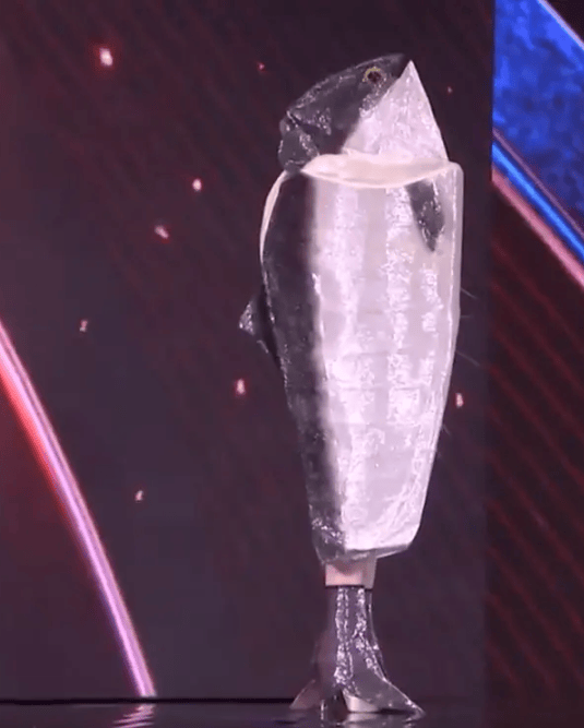 环球小姐决赛成“动物开会”<strong></p>
<p>启明星辰股票</strong>？冠军被羞辱又深陷暗箱丑闻