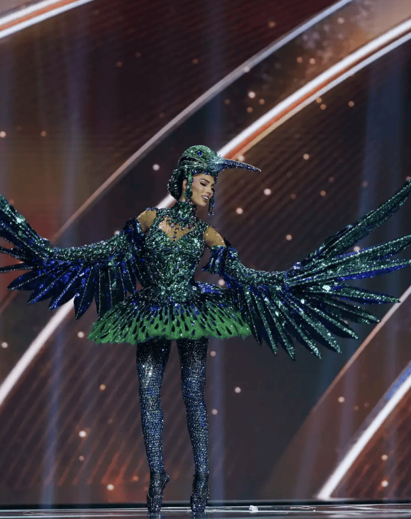 环球小姐决赛成“动物开会”<strong></p>
<p>启明星辰股票</strong>？冠军被羞辱又深陷暗箱丑闻