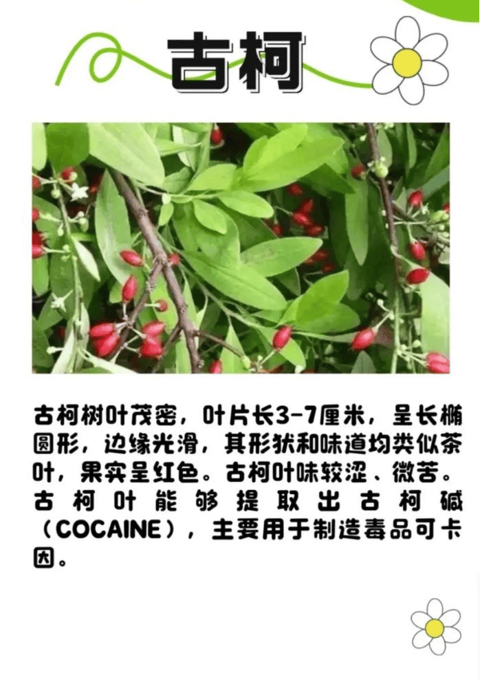 悬赏1500万美金！前奥运选手涉多起案件<strong></p>
<p>启明星辰股票</strong>，被列入十大通缉犯