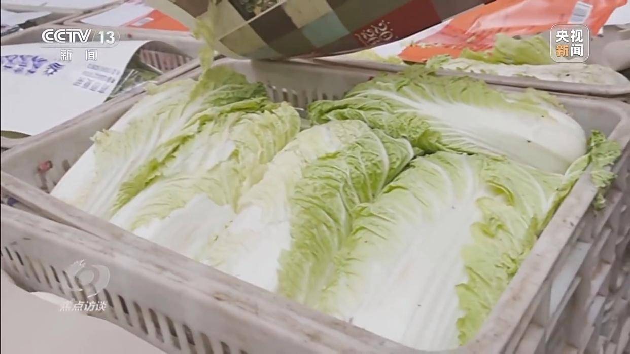 单棵售价超百元<strong></p>
<p>科泰电源股票</strong>，起底“套牌白菜”背后的销售套路