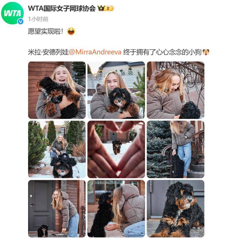 “小米辣”终于有了自己的小狗！曾说养狗是赢球的动力<strong></p>
<p>科泰电源股票</strong>，WTA官方发“贺信”：愿望实现啦！
