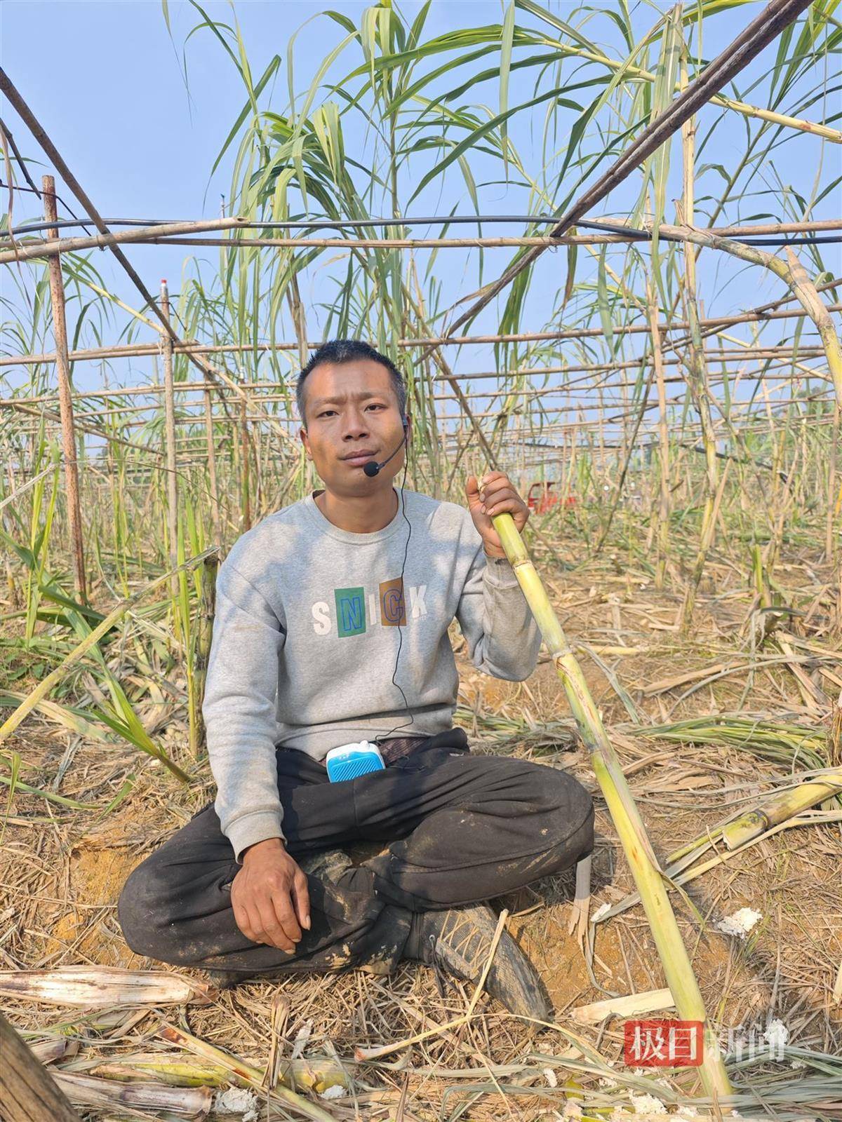 终于被你们偷完了！农场老板笑嘻嘻宣布“自助偷甘蔗”活动结束<strong></p>
<p>兆易创新股票</strong>，自称要下班回家睡瞌睡