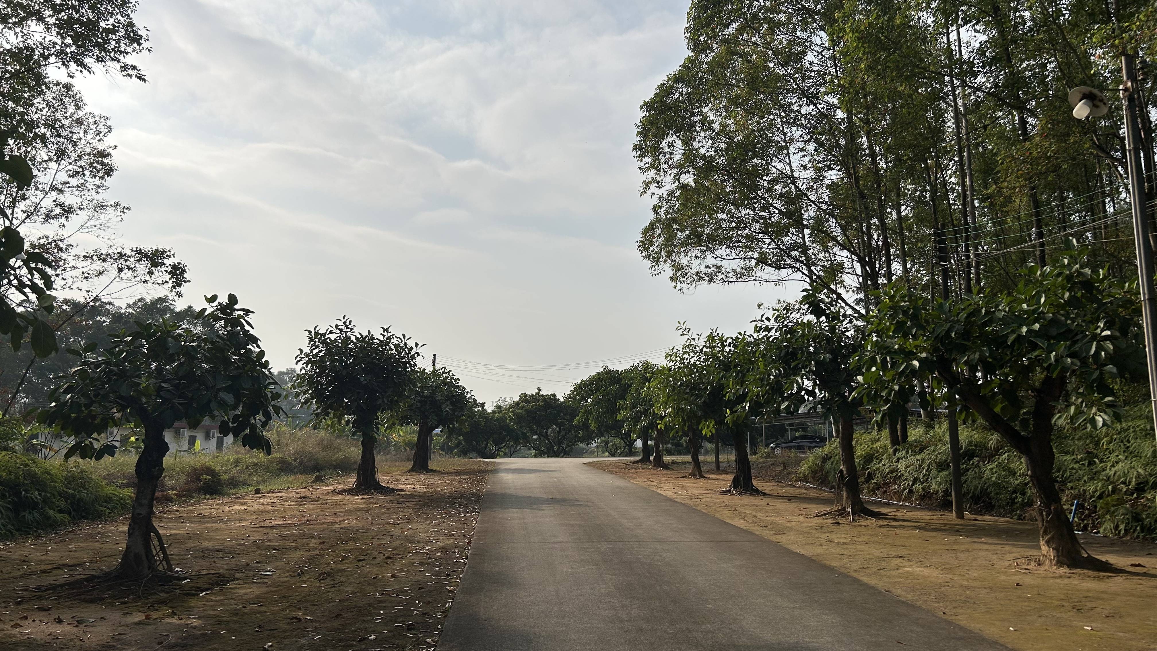 有价无猴！实验猴价格暴涨<strong></p>
<p>中航重机股票</strong>，有猴场明年的猴都被订光，繁殖率已跟不上｜调查