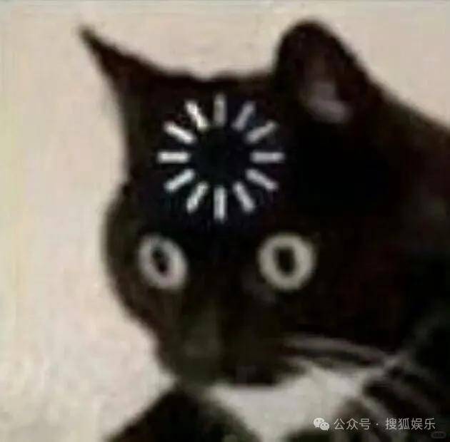 又一对魔幻的圈内姐弟恋曝光！这组合有点太超前了......