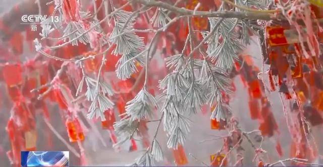 我国已经进入拉尼娜状态<strong></p>
<p>高德红外股票</strong>，专家：可能出现冬春连旱