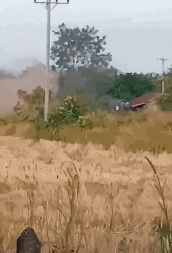 柬埔寨出动PHL-03型300毫米远火<strong></p>
<p>奋达科技股票</strong>，3发火箭弹准确命中泰军据点？