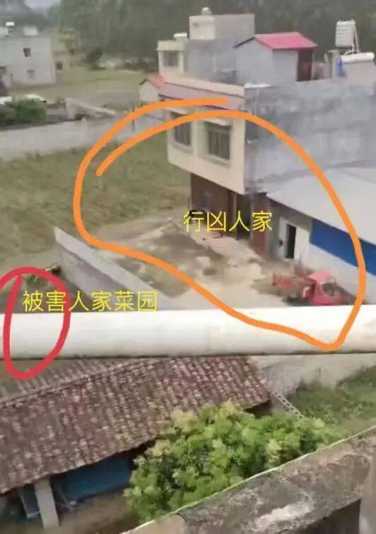 刚刚宣判：何某乖<strong></p>
<p>奋达科技股票</strong>，改判死刑！