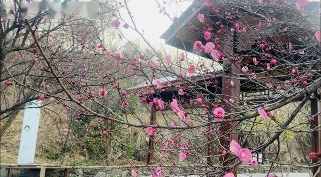 太突然！武汉正大量出现<strong></p>
<p>汉得信息股票</strong>，不用等到春节