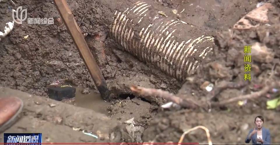 太夸张!上海人比比谁家楼下井盖多!有人家门口100个<strong></p>
<p>金信诺股票</strong>,“走路难!到处都像贴膏药”...